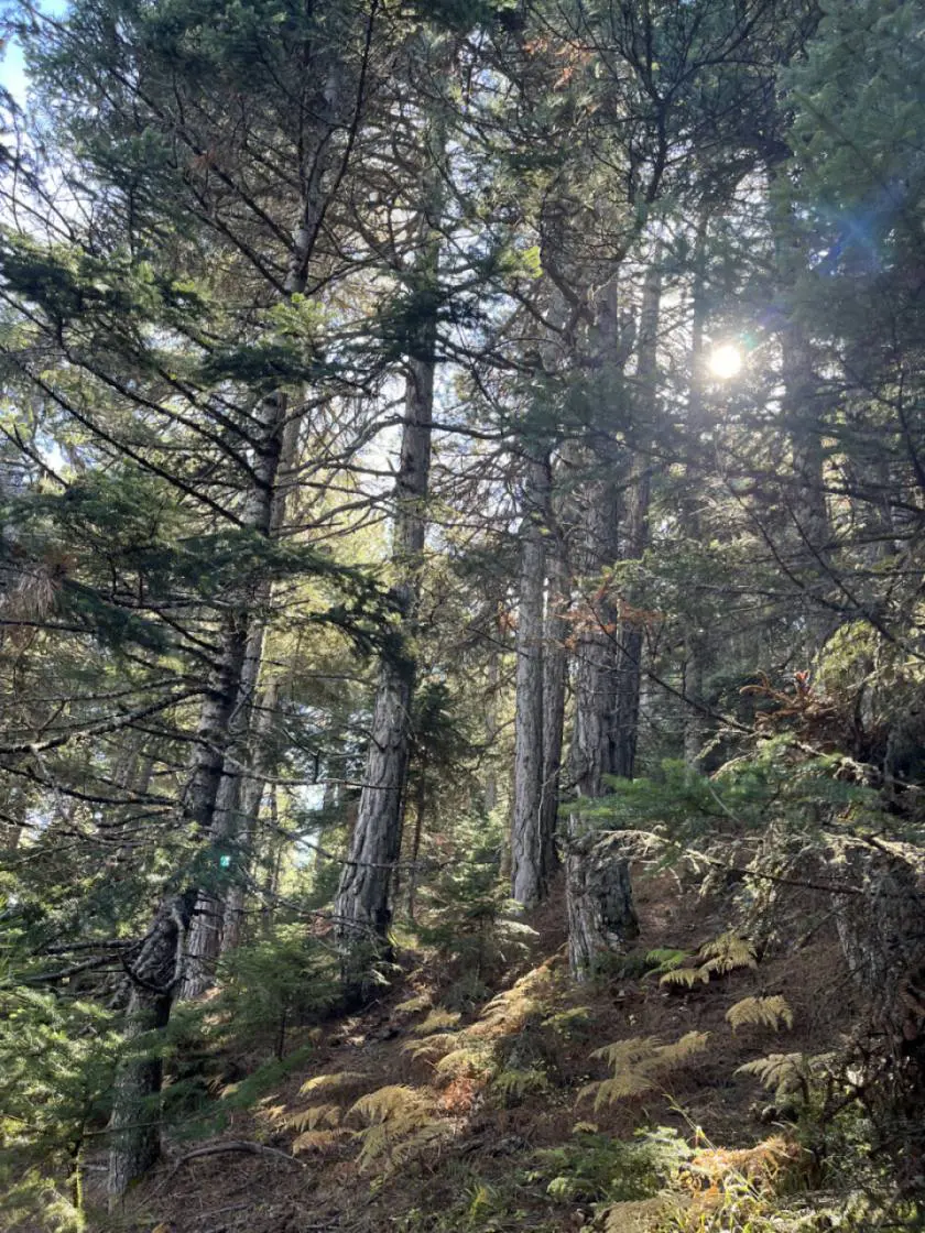 Yoga & Hiking Retreat στο Helydorea Zen – φωτογραφία 3